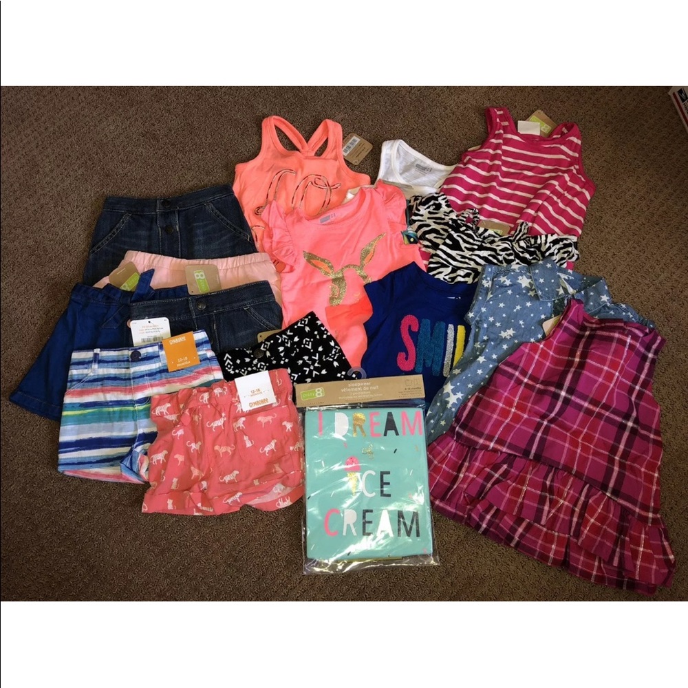 17 piece NWT Baby girls clothes lot
